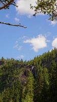 paisaje de bosque natural con nubes azules en el cielo foto