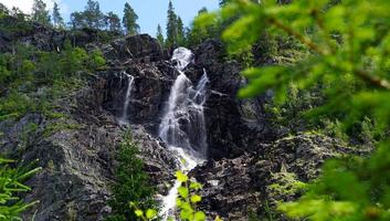 paisaje escena de agua escondida en lo profundo del bosque lleno de árboles verdes altos naturaleza foto