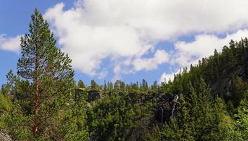 hermoso paisaje de la cubierta de noruega con alto bosque verde con nubes azules en el fondo foto