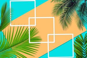 Green palm leaves pattern for nature concept,tropical leaf on orange and teal paper background photo