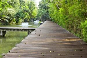 puente de madera sobre el canal en el jardín foto