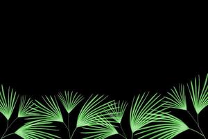Green leaves pattern,leaf palm tree isolated on black  background photo