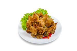 fried wonton or Toong Tong isolated on white background,clipping path photo