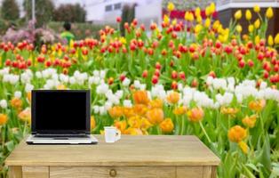 The desk in flower garden background. photo