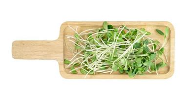 fresh Sunflower Sprout with wooden tray isolated on white background ,Green leaves pattern ,Salad ingredient ,include clipping path photo