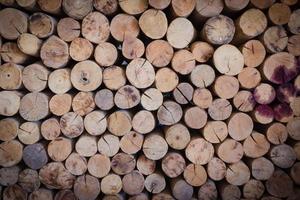 pile of firewood background
