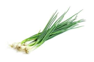 leaf spring onion isolated on white background ,Green leaves pattern photo