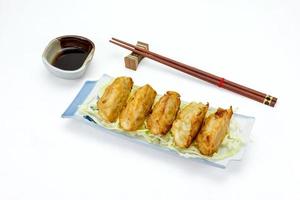 fried dumplings or gyoza isolated on white background,clipping path photo