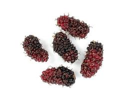 mulberries fruit isolated on a white background photo