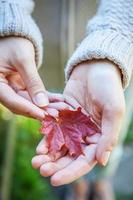 Closeup natural autumn fall view woman hands holding red orange maple leaf on park background. Inspirational nature october or september wallpaper. Change of seasons concept. photo