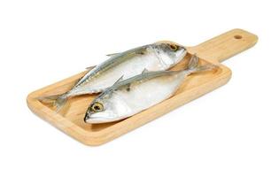 Fresh mackerel fish with square wooden tray isolated on white background ,include clipping path photo