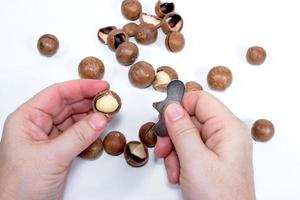 Open Macadamia nut by tool on background photo