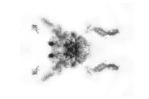 Textured Smoke,Abstract black,isolated on white background photo