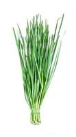 garlic chive on white. photo