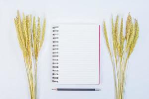 open note book with pencil and grass flowers on background photo