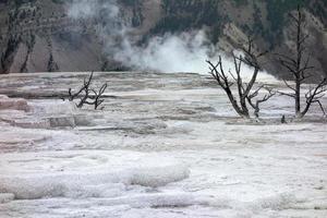 Mammoth Hot Springs photo