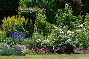 un jardín de East Grinstead en plena floración foto