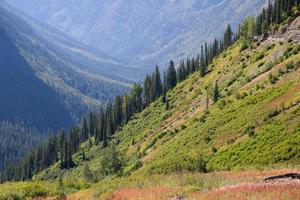 Scenic view of Glacier National Park photo