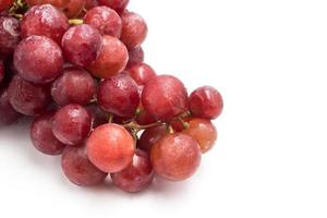 Red grapes on a white background. photo