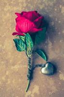 Red rose with silver heart necklace on brown grunge board background. Concept of Valentine Day. Vintage tone photo