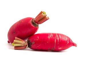 Fresh Pink Radishes on white background. photo