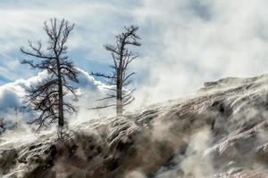 Landscape of Mammoth Hot Springs in Yellowstone National Park photo