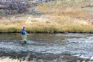 Fly fishing in Fairy Creek in Yellowstone National Park photo