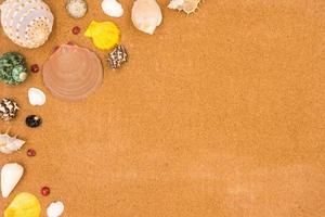 Top view of Seashells on brown board background. photo