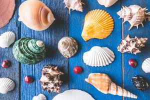Top view of Seashells on blue painted wood plank background. photo