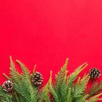 Christmas tree branches on red background. Free space for text photo