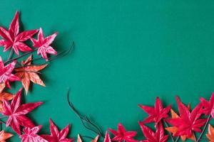 Maple leaves on green background. Free space for text photo