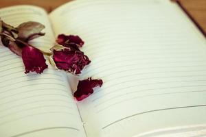 Dry rose on blank notebook. Selective focus. Vintage tone. photo