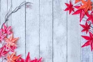 Maple leaves on white painted wood plank background. photo