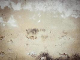 cement texture background ,Abstract background photo