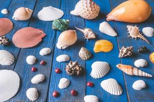 Seashells on blue painted wood plank background. photo