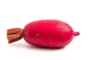 Fresh Pink Radish on white background. photo