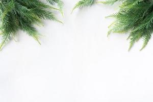 Christmas tree on a white background, free space for text photo