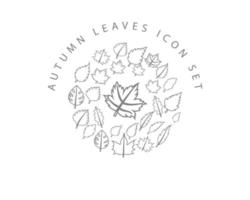 Autumn leaves icon set design on white background. vector