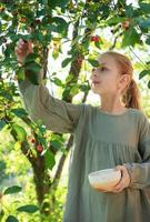 Girl picking cherries photo