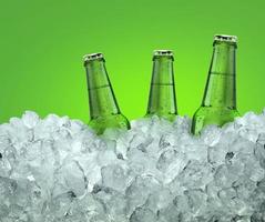 Three beer bottles getting cool in ice cubes. Isolated on a green photo