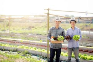 Beautiful portrait young two man harvest and picking up fresh organic vegetable garden in basket in the hydroponic farm, agriculture for healthy food and business entrepreneur concept. photo