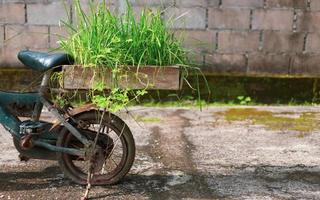 ideas de diseño de jardines reutilizados decoración de jardines de flores en bicicletas pequeñas viejas y rotas diseño de jardines reciclados concepto de ahorro ecológico y bricolaje. foto