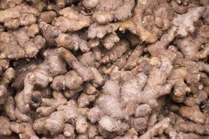 Heap of raw ginger roots in a market of bangladesh. Zingiber officinale.It is widely used as a spice and a folk medicine. photo