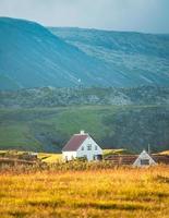 Icelandic wooden house glowing with sunlight on meadow and bird flying around in sunset on summer at Arnarstapi fishing village, Iceland photo