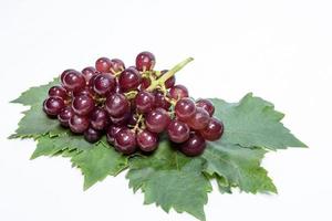 red grapes and leaves with background photo