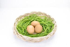 Acacia pennata and egg in basket on background photo