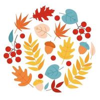 Autumn leaves set, acorns and rowan. Simple cartoon flat style. Autumn background. Design for stickers, logo, web and mobile app. Autumn leaf design elements vector