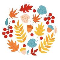 conjunto de hojas de otoño, bellotas y serbal. estilo plano de dibujos animados simples. fondo de otoño. diseño para pegatinas, logotipo, web y aplicación móvil. elementos de diseño de hojas de otoño vector