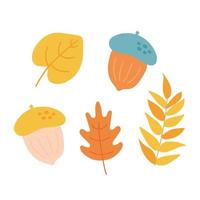 conjunto de hojas de otoño, bellotas aisladas sobre fondo blanco. estilo plano de dibujos animados simples. imágenes prediseñadas de ilustración vectorial. diseño para pegatinas, logotipo, web y aplicación móvil. elementos de diseño de hojas de otoño vector