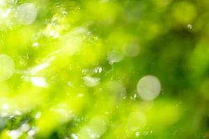 natural green bokeh abstract background,blurred textured photo